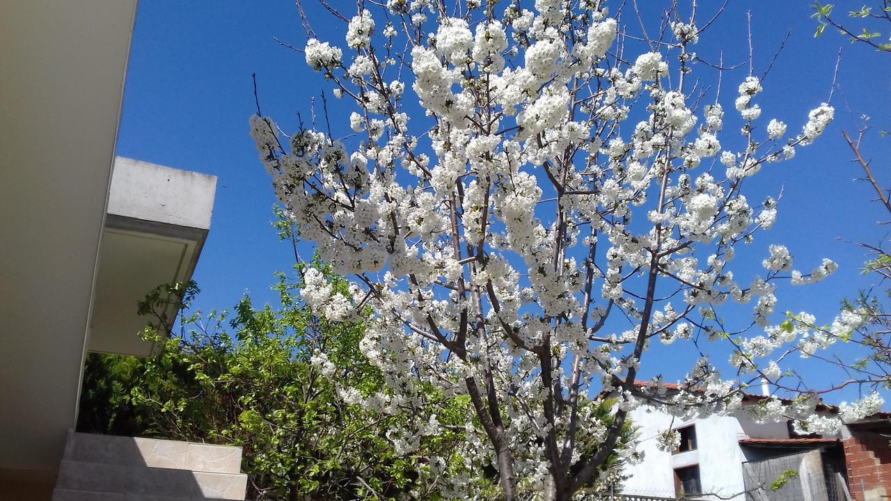 Apartments Vladimir Ayios Nikolaos Bagian luar foto